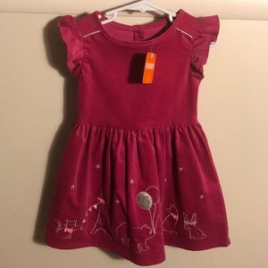 Gymboree pink Parisian dress and bloomers
